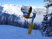 Sneeuwkanon bij de Tannwald-afdaling