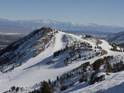 De pistes in het bovenste gedeelte