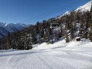 Middenstation Tarlenta