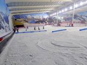 Oefenweide met transportbanden voor de kids