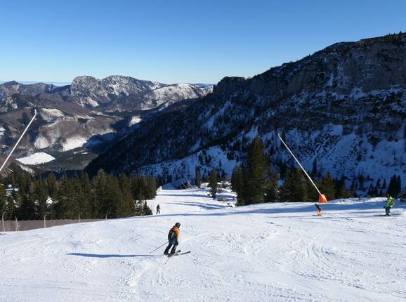 Zwarte Ochsenboden-Direkt
