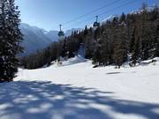 Dalafdaling Tarlenta