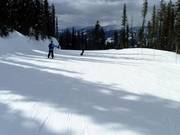 Geprepareerde piste in Revelstoke Mountain Resort