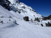 Makkelijke piste bij de Grünseelift
