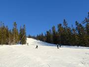 Moeilijke piste Kometen in Tandådalen