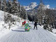 filZOO avonturenparcours