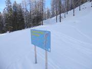 Hoogteloipe Schlickeralm: Idylisch in het bergbos