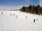 Makkelijke afdaling bij de Almwiesenlift