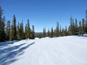 Zeer eenvoudige piste in het skigebied Trysil