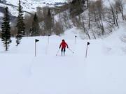 Snowbasin Terrain Parks
