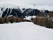 Piste Brand–dalstation Rinerhorn nr. 10