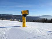 Sneeuwlans bij de Arber