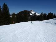 Gemakkelijke piste Melchboden