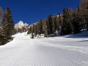 Perfecte piste in San Martino di Castrozza