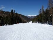 Märchenwald-afdaling