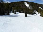 Perfect glad geprepareerd