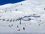 Pistes in Tonale