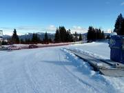 Gratis transportband in Fiorentini