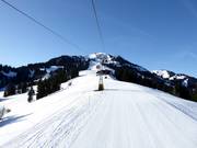 Uitzicht op de Rinderberg in Zweisimmen
