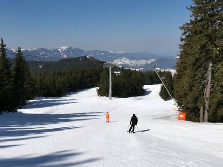 Rhodopen: beoordelingen van skigebieden – Beoordeling Pamporovo