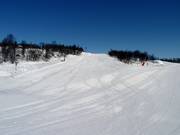 Oefenpiste Tussebakken