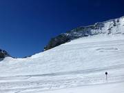 Vrij skigebied bij de Olperer