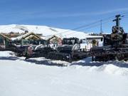 Moderne pistebully's op Dollar Mountain