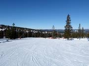 Gemakkelijke piste nr. 43