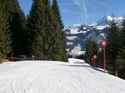 Dalafdaling vanaf de Walmendingerhorn