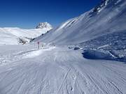 Kogel-Mogel Wellenbaan