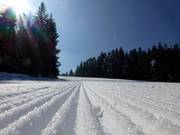 Zeer goede pistepreparatie