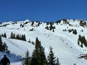 Uitzicht van het midden naar boven