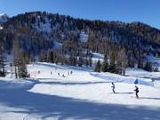 Gemakkelijke piste Pancianiana