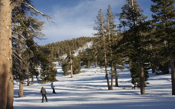 Skigebieden voor beginners in de Carson Range – Beginners Heavenly