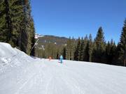 Gemakkelijke piste Pozza Vecia