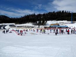 Kolašin 1450/Kolašin 1600