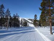 Makkelijke piste in Östra Tandådalen