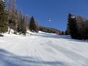 Dalafdaling Tarlenta