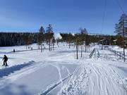 Makkelijke pistes bij de Trolliften