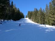 Middelzware piste bij de stoeltjeslift