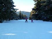 Afdaling bij de sleeplift Predigtstuhl II