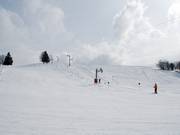 Gemakkelijke piste in Crest Voland