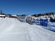 Tip voor de kleintjes 