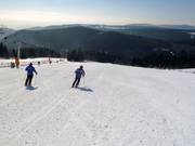 Piste 18: Neklid - Moser