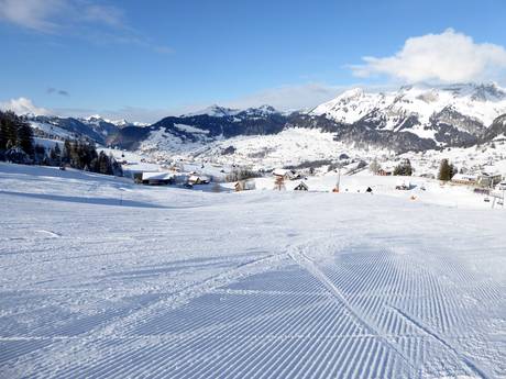 Skigebieden voor beginners in de Appenzeller Alpen – Beginners Wildhaus – Gamserrugg (Toggenburg)