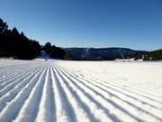 Perfect geprepareerde piste in het skigebied Les Angles