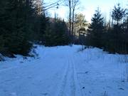 Langlaufloipe am Geißkopf