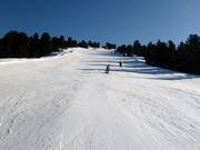 Sportafdaling nr. 18