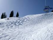 Skiroute Sunnegg Steilhang