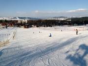 Beginnerspistes in het dalgebied